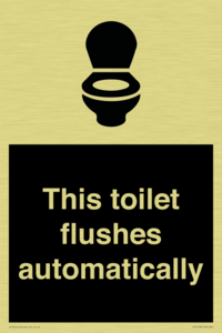 This toilet flushes automatically